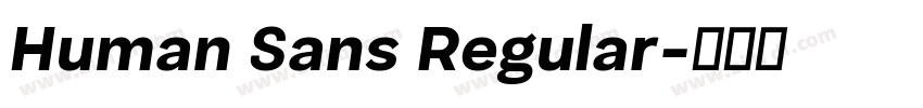 Human Sans Regular字体转换 Human Sans Regular字体转换